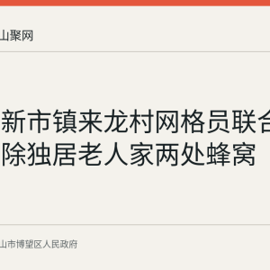 博望区新市镇来龙村网格员联合消防员摘除独居老人家两处蜂窝
