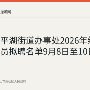 雨山区平湖街道办事处2026年编外聘用人员拟聘名单9月8日至10日公示