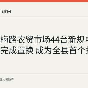 含山望梅路农贸市场44台新规电子计价秤完成置换 成为全县首个换新试点