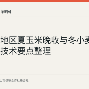 黄淮海地区夏玉米晚收与冬小麦晚播双晚技术要点整理