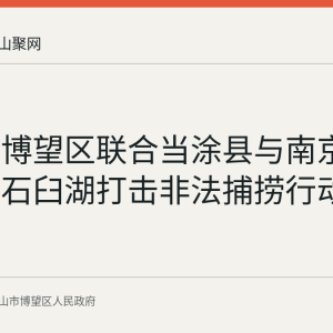 马鞍山博望区联合当涂县与南京两区开展石臼湖打击非法捕捞行动