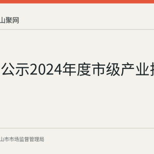 马鞍山公示2024年度市级产业扶持资金