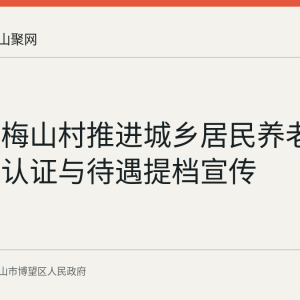 博望区梅山村推进城乡居民养老保险资格认证与待遇提档宣传