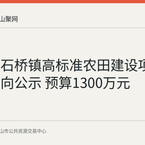 当涂县石桥镇高标准农田建设项目采购意向公示 预算1300万元
