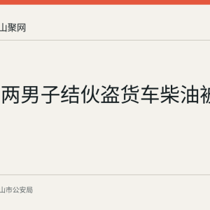 马鞍山两男子结伙盗货车柴油被抓